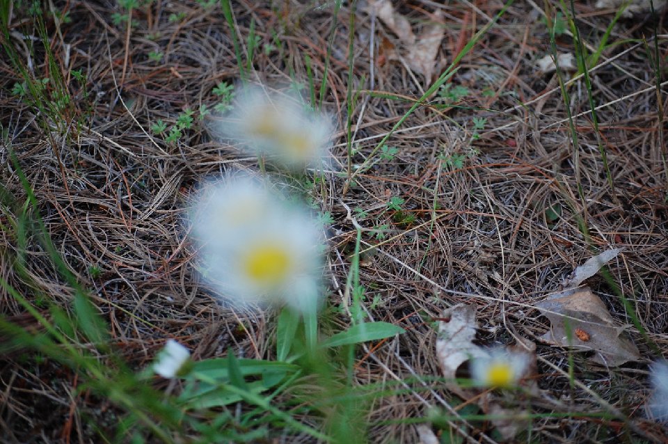 SUMMER2010- (75)
